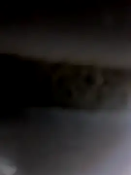 Snapshot of Godvibes chatting on 11/05/25, 06:55 Godvibes online show from 11/05/25, 06:55