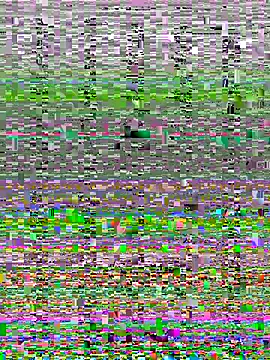 Wy1766 online show from 10/22/25, 09:24