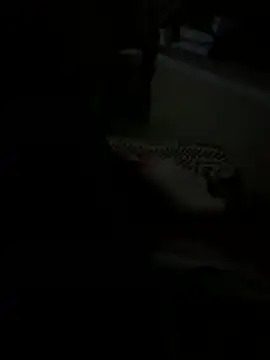 julia julia02 online show from 02/24/26, 03:18