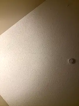 Snapshot of ForkedAlgorithm2 chatting on 09/24/25, 12:33 ForkedAlgorithm2 online show from 09/24/25, 12:33