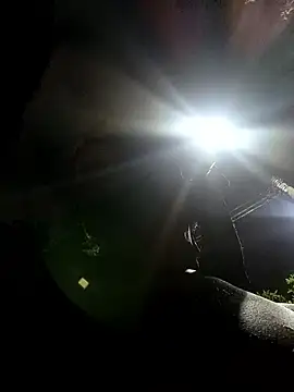 Siriss boyrag online show from 03/24/26, 02:22