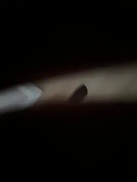 Snapshot of XMenX24 chatting on 12/21/24, 11:44 XMenX24 online show from 12/21/24, 11:44