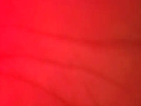 Snapshot of jorwee chatting on 02/15/25, 04:36 jorwee online show from 02/15/25, 04:36