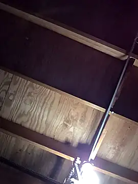 Snapshot of jorwee chatting on 11/03/25, 10:57 jorwee online show from 11/03/25, 10:57