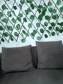 Bold-Cat online show from 11/08/25, 05:27