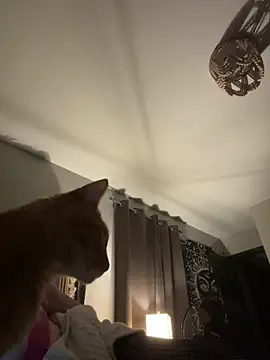 SmokingSloth online show from 11/13/25, 06:17