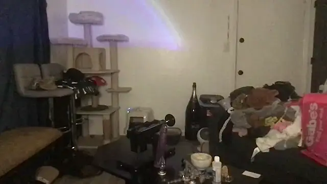 SpunCandy online show from 03/21/26, 10:24