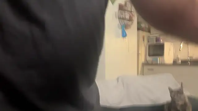 Snapshot of SpunCandy chatting on 02/28/26, 09:25 SpunCandy online show from 02/28/26, 09:25