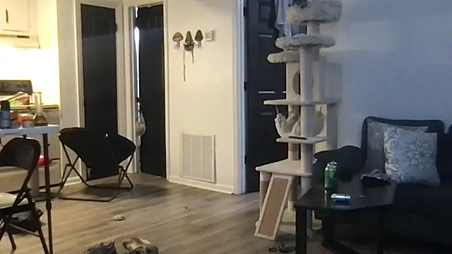 Snapshot of SpunCandy chatting on 10/01/25, 04:28 SpunCandy online show from 10/01/25, 04:28