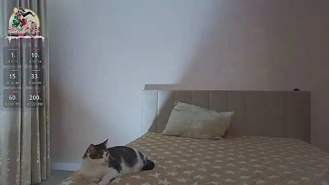 Sandrikta online show from 02/03/25, 07:42