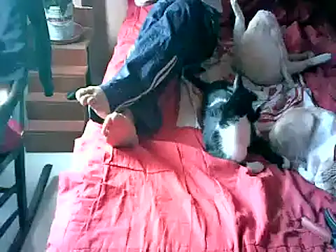 2mgars online show from 09/22/25, 08:48