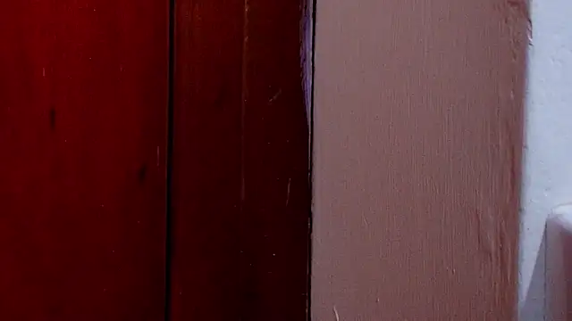 anisha x online show from 10/25/25, 07:14