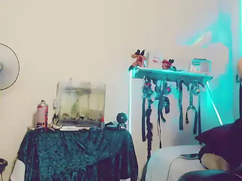 kimkardasha98 online show from 12/23/25, 02:33