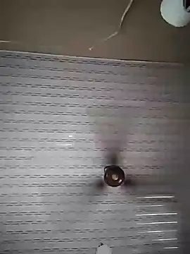 stephbig777 online show from 02/01/26, 09:18