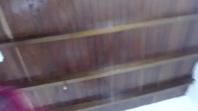 Amara Red online show from 11/03/25, 11:14