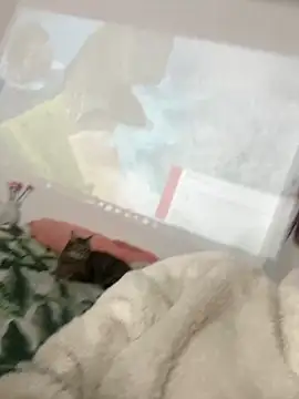 AnnyCherry  online show from 03/06/26, 12:38