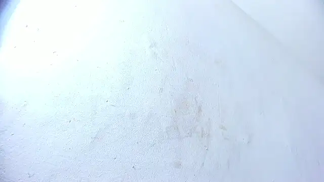 Snapshot of brant_garciabbc chatting on 02/01/25, 10:01 brant garciabbc online show from 02/01/25, 10:01