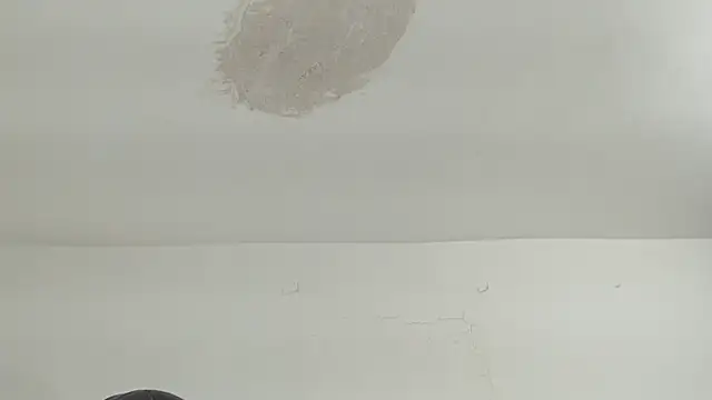 brant garciabbc online show from 04/16/26, 09:39