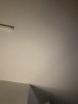 Snapshot of tigerrtiger chatting on 02/19/25, 12:46 tigerrtiger online show from 02/19/25, 12:46