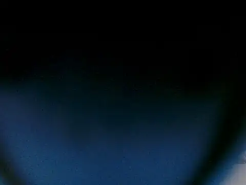 tigerrtiger online show from 11/24/25, 08:31