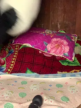Asianmombigasss online show from 05/26/26, 04:32
