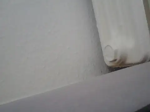 lickthehottie online show from 07/14/26, 05:01