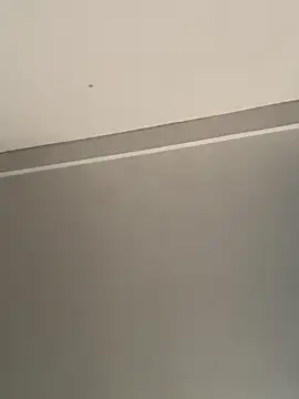 calleaaaa online show from 10/24/25, 09:19