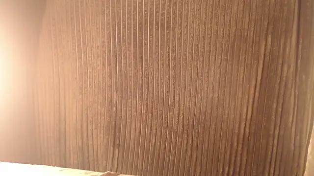 1BECHA1 online show from 11/12/25, 05:11