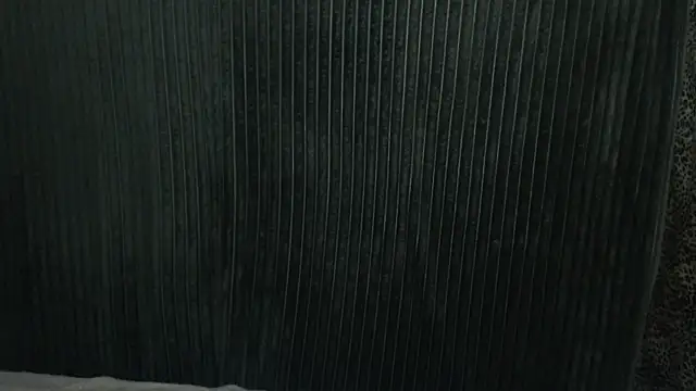 1BECHA1 online show from 12/03/25, 07:41