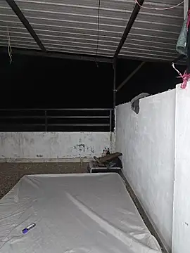 Jake bom online show from 04/20/26, 07:33