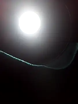 dangerman94 online show from 03/22/26, 06:15