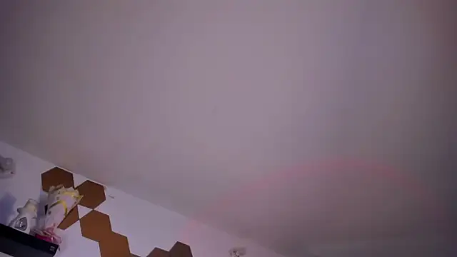 evy orange1 online show from 02/03/26, 06:22