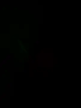 josle24 online show from 12/08/24, 03:35