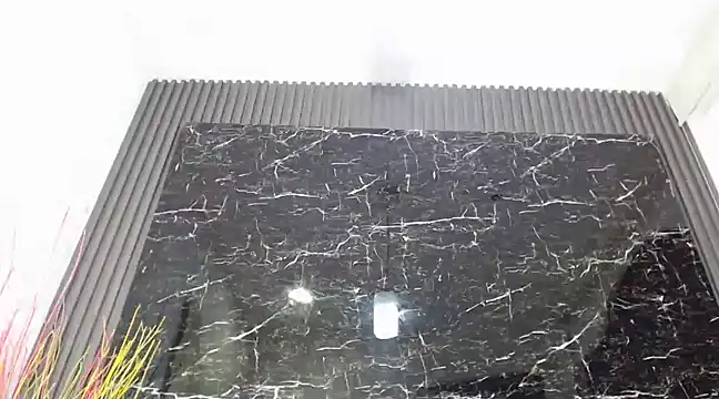 Snapshot of NalaRoy chatting on 12/10/24, 11:54 NalaRoy online show from 12/10/24, 11:54