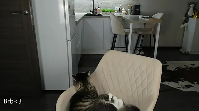 nilliluv online show from 03/19/26, 11:16