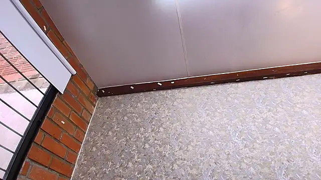 nicol f online show from 10/23/25, 07:23