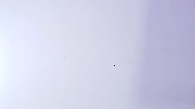 nicol f online show from 03/05/26, 03:14