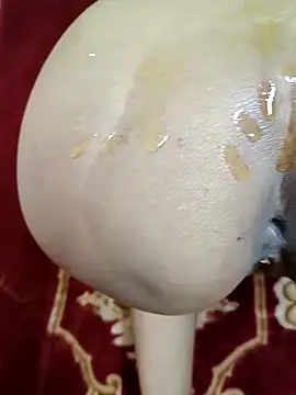 GF nd BF  online show from 03/01/25, 03:38