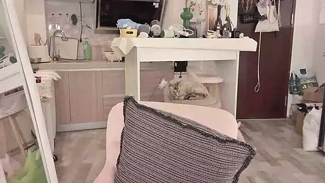 Snapshot of -XunMengLong- chatting on 03/11/25, 07:47 -XunMengLong- online show from 03/11/25, 07:47