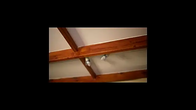 Snapshot of Bellis_Perenis chatting on 02/26/26, 09:31 Bellis Perenis online show from 02/26/26, 09:31