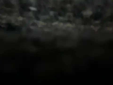 Snapshot of _my_ass_ chatting on 02/09/25, 10:00  my ass  online show from 02/09/25, 10:00