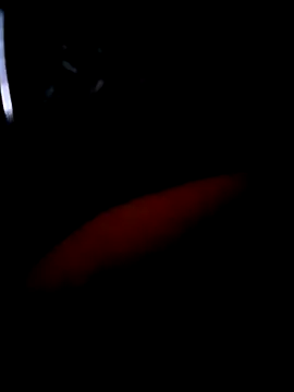 pascalino100 online show from 04/04/26, 12:01