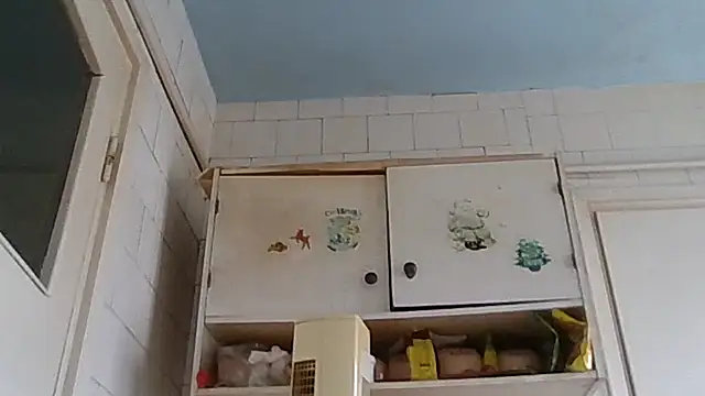 mariusica1xh online show from 02/19/26, 01:52