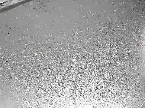 Snapshot of CafeCaliente69 chatting on 12/06/24, 07:39 CafeCaliente69 online show from 12/06/24, 07:39