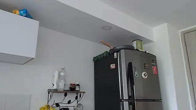 thomas gun online show from 02/03/26, 03:28