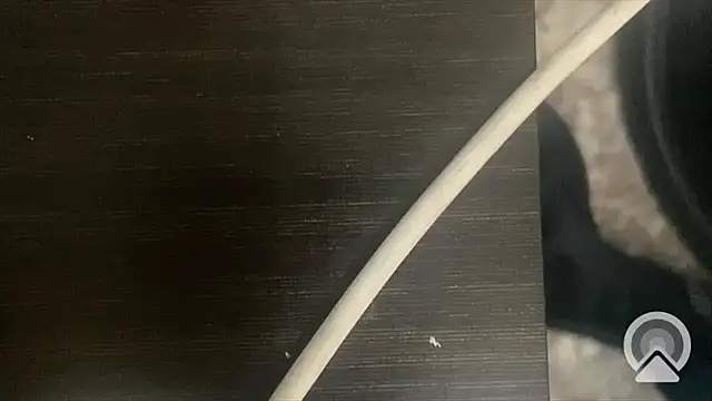 shuai321 online show from 02/13/25, 07:56