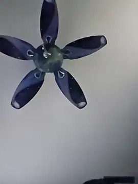 honeymex online show from 09/18/25, 10:57