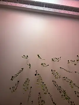 -Sexy Barbie- online show from 03/11/25, 02:42