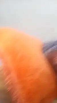 NICJOHNS online show from 02/02/25, 08:02