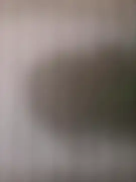 mrwright878787 online show from 10/04/25, 01:45